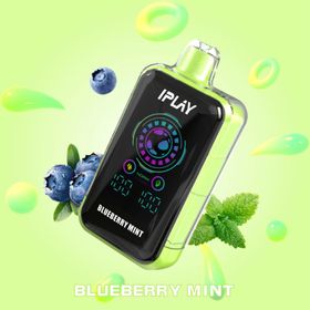 Blueberry Mint IPLAY BURST